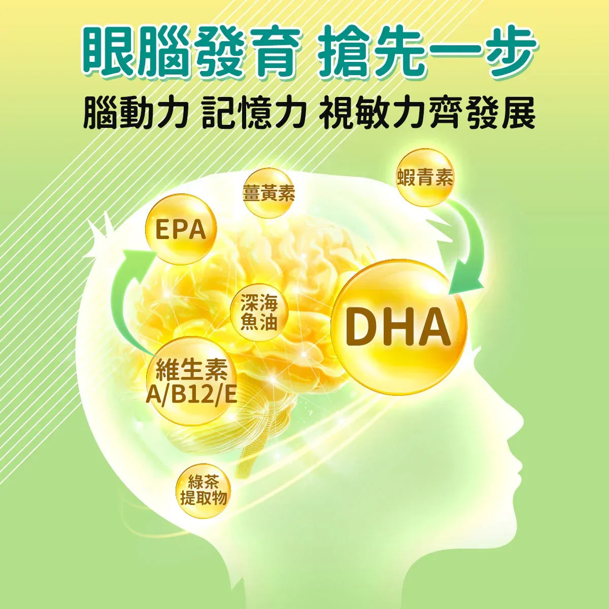 DHA/EPA 增強配方