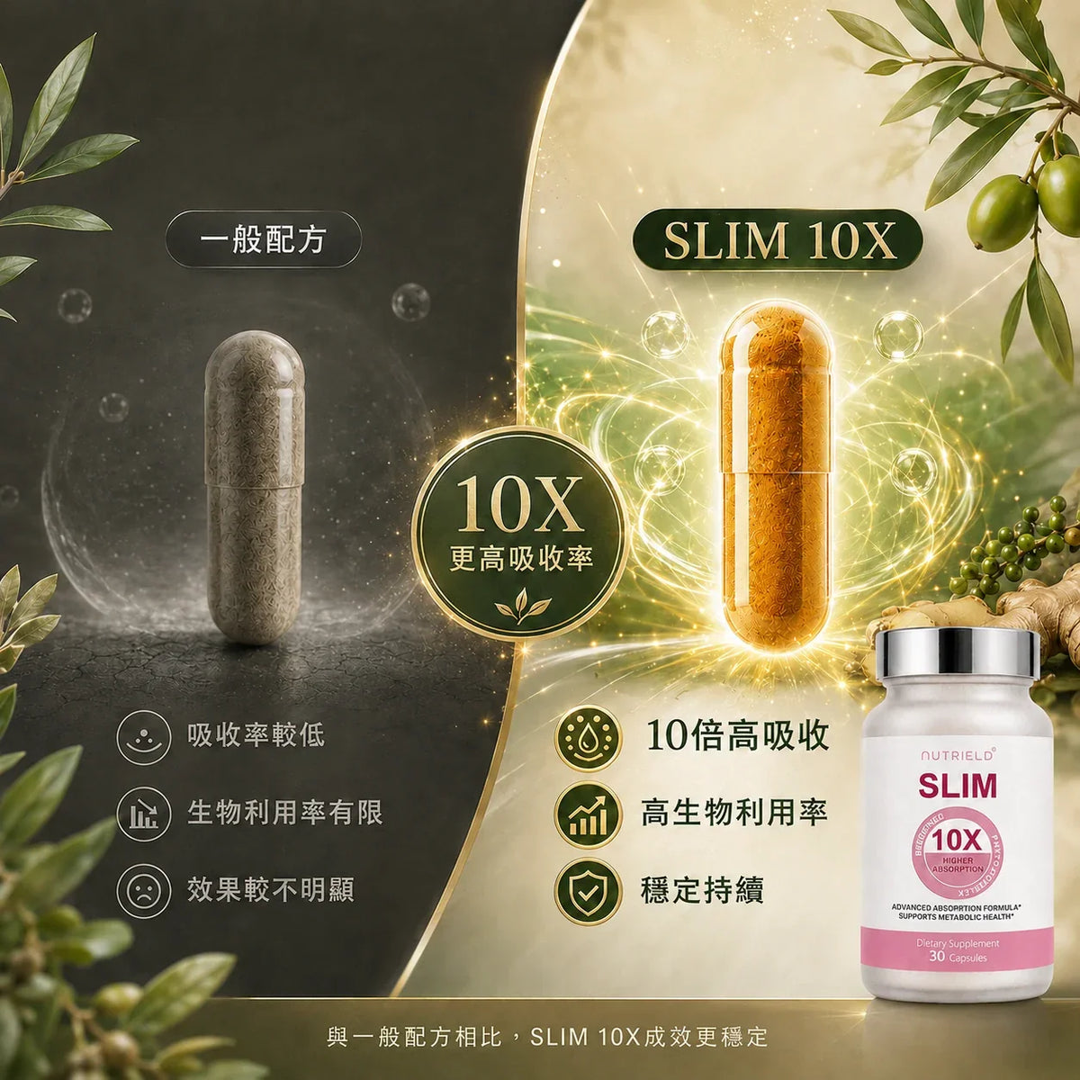SLIM 10X 小檗鹼高吸收配方對比圖,說明10倍吸收率、高生物利用率與穩定持續管理