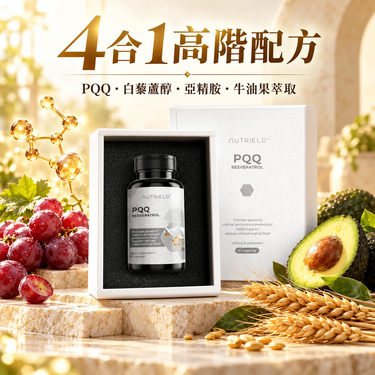 活力源
