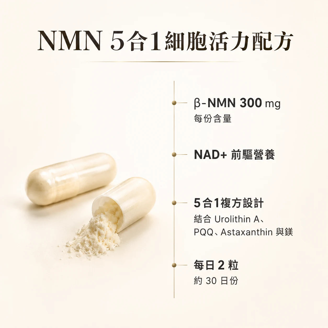 長青活力