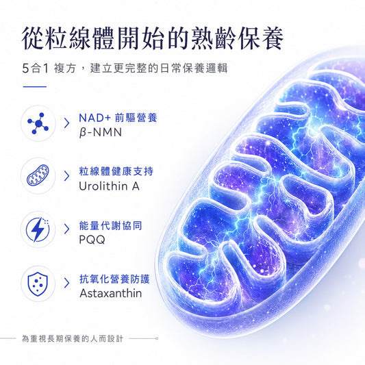 長青活力